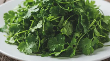 garnishing-instructions-image